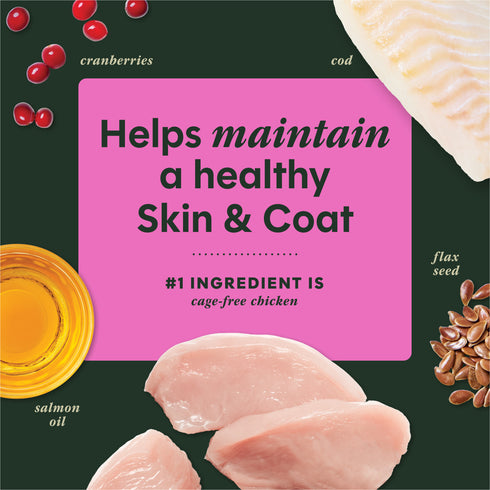 Instinct Raw Boost Mixers Skin & Coat Dog Food Topper - Chicken - 5.5oz Pouch