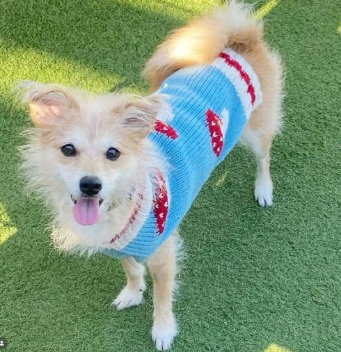 Chilly Dog Knitted Dog Sweater - X-Small - Mushroom