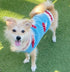 Chilly Dog Knitted Dog Sweater - X-Small - Mushroom