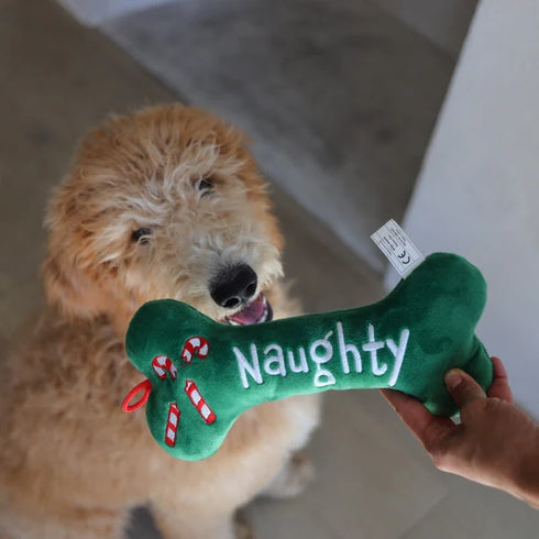 Huxley & Kent Plush Bone Dog Toy - Naughty & Nice (Double Sided) - Jumbo