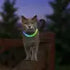 Nite Ize NiteMeow LED Light Cat Safety Collar - Disc-O
