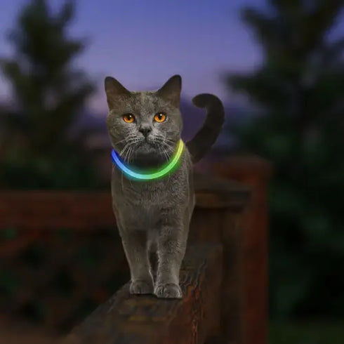 Nite Ize NiteMeow LED Light Cat Safety Collar - Disc-O