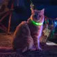 Nite Ize NiteMeow LED Light Cat Safety Collar - Disc-O
