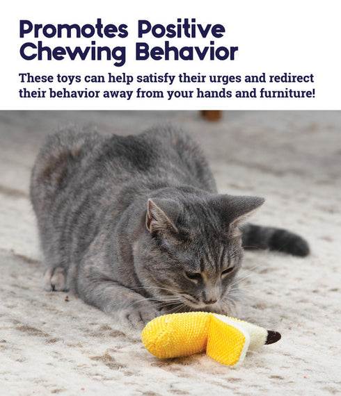 Catstages Dental Banana Cat Chew Toy