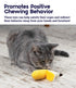 Catstages Dental Banana Cat Chew Toy