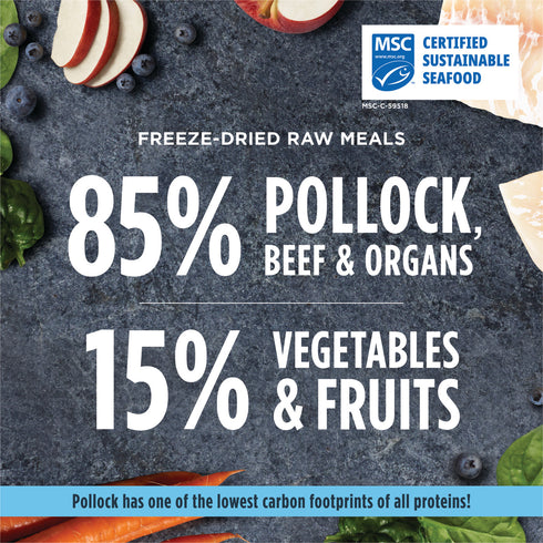 Instinct Raw Meals Freeze Dried Dog Food - Pollock - 14oz Bag