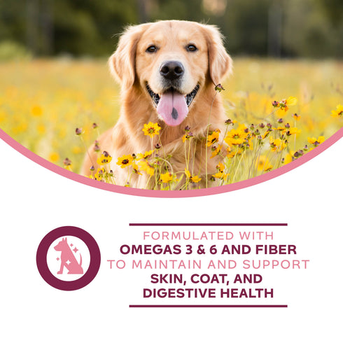 Fromm Nutritionals Sensitive Skin & Stomach Wet Dog Food - Salmon -