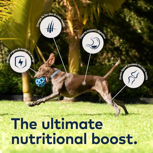 Ziwi Peak Air-Dried Dog Food - Lamb - 16oz Bag
