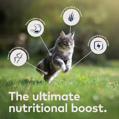 Ziwi Peak Wet Cat Food - Mackerel - 3oz Can