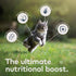 Ziwi Peak Wet Cat Food - Beef - 3oz Can