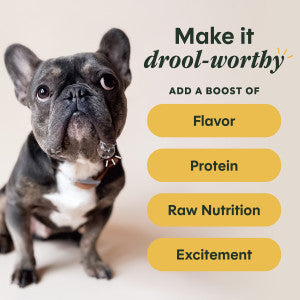 Instinct Raw Boost Shakers Dog Food Topper - Chicken - 5.5oz Shake Bottle