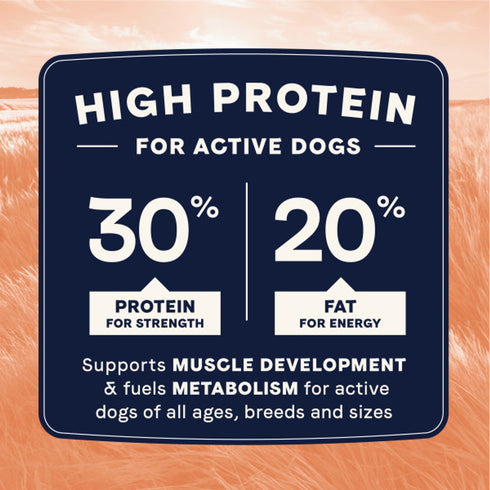 Canidae All Life Stages High Protein Dry Dog Food - Salmon & Ancient Grains - 4lb Bag
