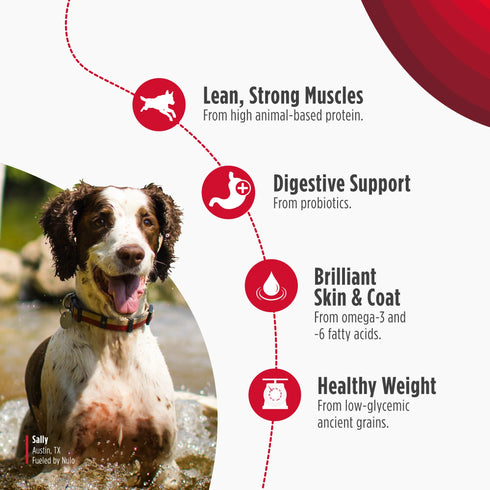 Nulo Frontrunner High Protein Dry Dog Food - Chicken, Turkey, & Oats - 23lb Bag