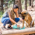 Olly Dog OllyBottle Dog Water Bottle - 1 Liter - Aqua Blue