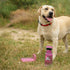 Olly Dog OllyBottle Dog Water Bottle - 600ml - Hot Pink