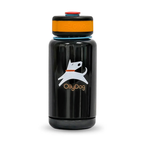 Olly Dog OllyBottle Dog Water Bottle - 600ml - Chromatic