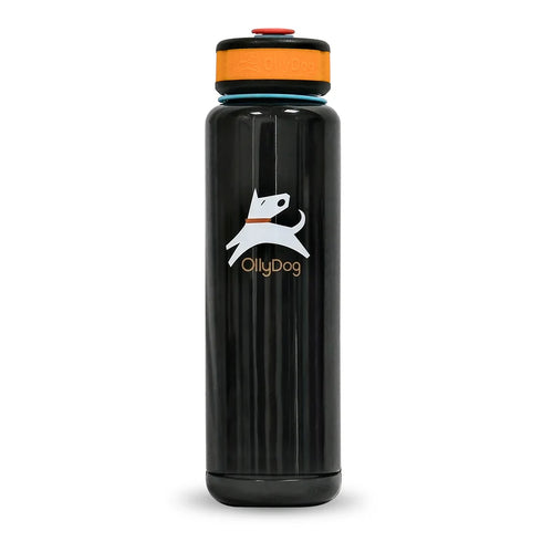 Olly Dog OllyBottle Dog Water Bottle - 1 Liter - Chromatic