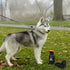 Olly Dog OllyBottle Dog Water Bottle - 600ml - Chromatic