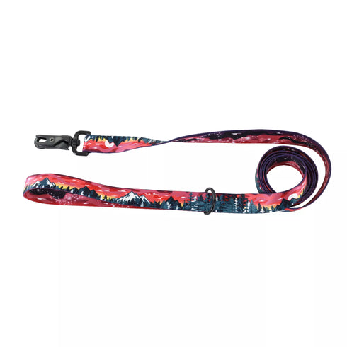 Coastal Subline Dog Leash - 6' - Purple Mountain