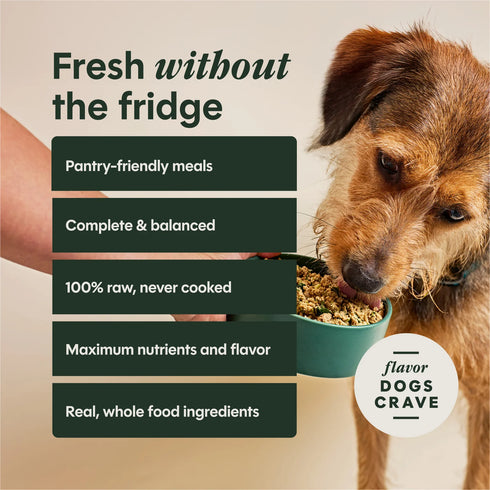 Instinct FreshDried Freeze Dried Dog Food - Beef & Berry Blend - 23oz Bag