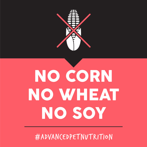 Ultimates Sensitive Skin & Stomach Dry Dog Food - Salmon - 5lb Bag