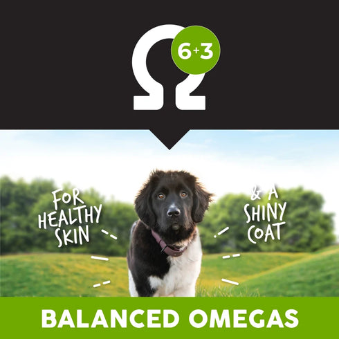 Ultimates Large Breed Puppy Dry Dog Food - Chicken & Rice - 28lb Bag