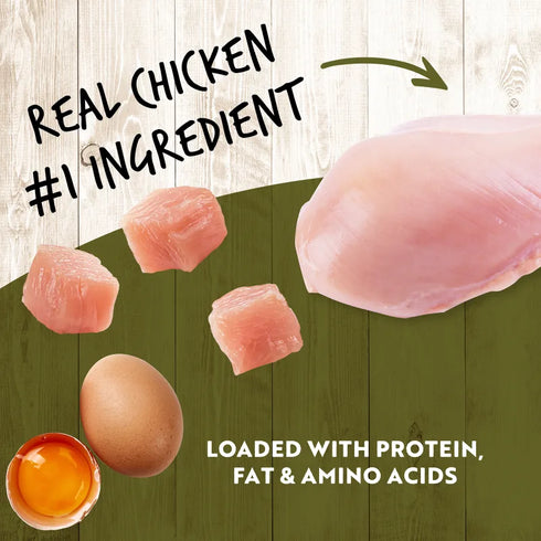 Earthborn Holistic K95 Wet Dog Food - Chicken - 13oz Can