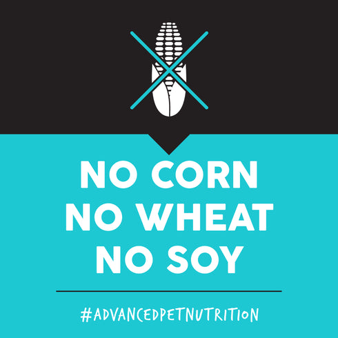 Ultimates Grain Free Dry Dog Food - Bayside Select Dry Dog Food - 28lb Bag