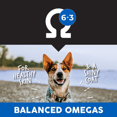 Ultimates Dry Dog Food - Whitefish & Rice - 28lb Bag