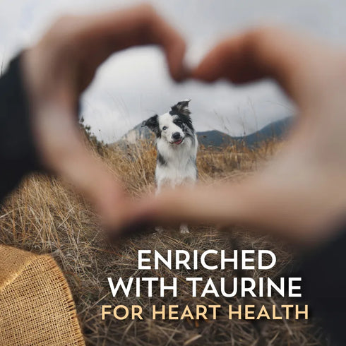 Wholesomes Sensitive Skin & Stomach Dry Dog Food - Lamb - 3lb Bag