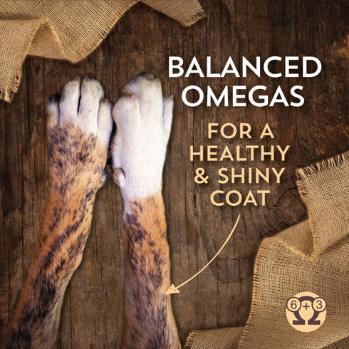 Wholesomes Sensitive Skin & Stomach Dry Dog Food - Salmon - 30lb Bag