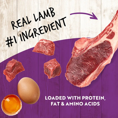 Earthborn Holistic K95 Wet Dog Food - Lamb - 13oz Can