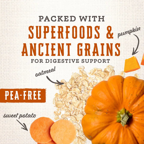 Wholesomes Gourmet Rewards Cheezy Bites Dog Treats - 3lb Bag