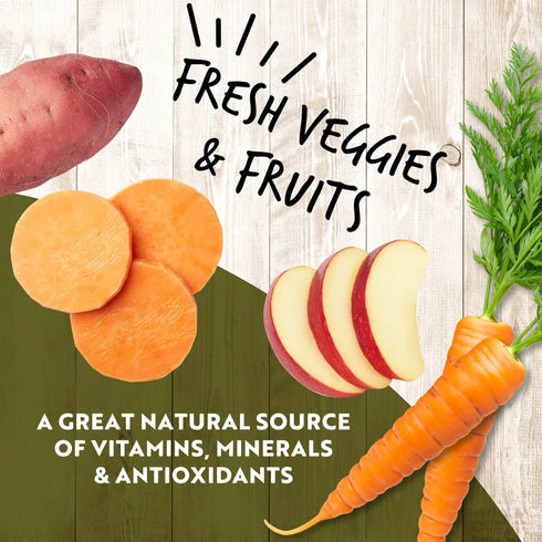 Earthborn Holistic K95 Wet Dog Food - Chicken - 13oz Can