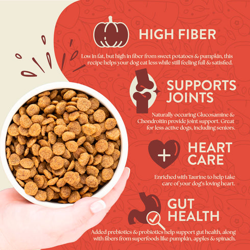 Earthborn Holistic Weight Control Dry Dog Food - Chicken & Vegetable - 25lb Bag