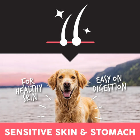 Ultimates Sensitive Skin & Stomach Dry Dog Food - Salmon - 5lb Bag