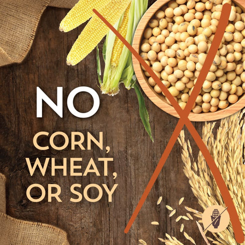 Wholesomes Whole Grain Dry Cat Food - Chicken & Rice - 15lb Bag