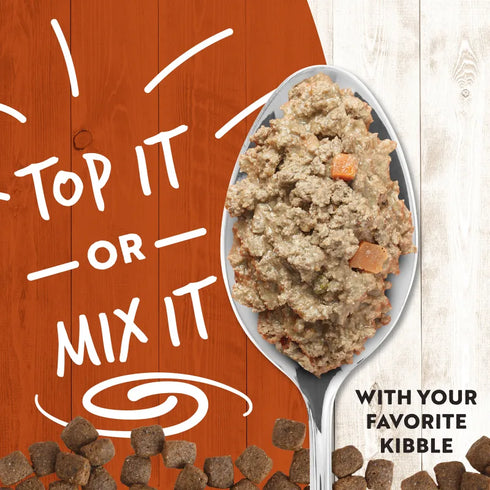 Earthborn Holistic K95 Wet Dog Food - Beef - 13oz Can