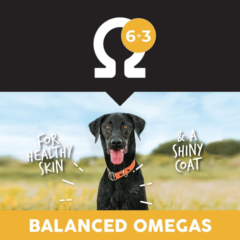 Ultimates Grain Free Dry Dog Food - Heartland Choice - 28lb Bag