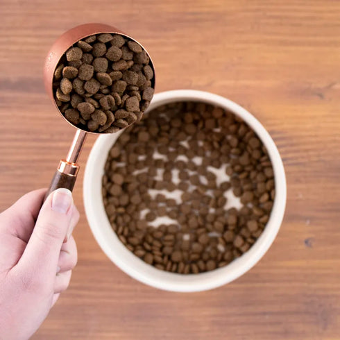 Wholesomes Whole Grain Dry Dog Food - Lamb & Rice - 40lb Bag