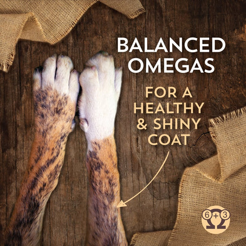 Wholesomes Whole Grain Large Breed Dry Dog Food - Chicken & Rice - 40lb Bag