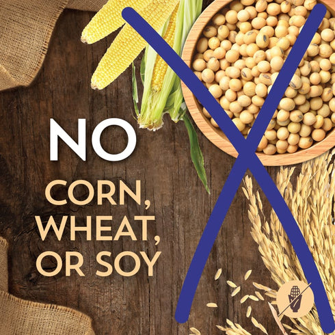 Wholesomes Whole Grain Large Breed Dry Dog Food - Chicken & Rice - 40lb Bag