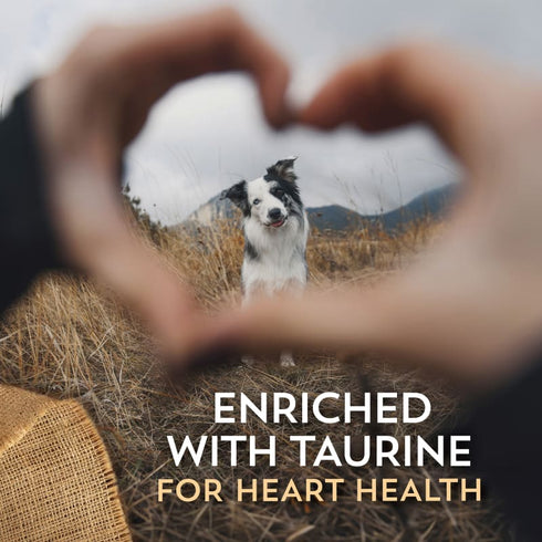 Wholesomes Sensitive Skin & Stomach Dry Dog Food - Salmon - 30lb Bag