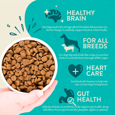 Earthborn Holistic Grain Free Dry Dog Food - Coastal Catch - 25lb Bag