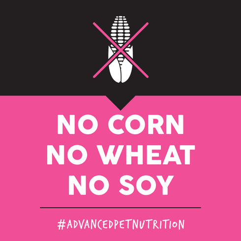 Ultimates Grain Free Dry Dog Food - Meadow Prime - 28lb Bag