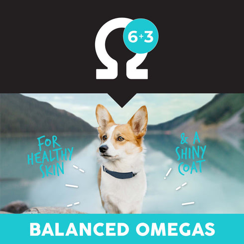 Ultimates Grain Free Dry Dog Food - Bayside Select Dry Dog Food - 28lb Bag