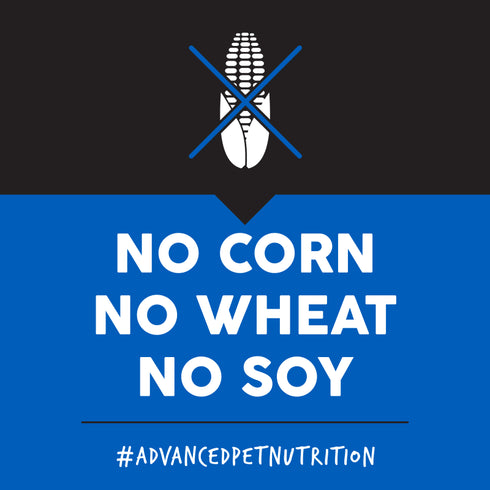 Ultimates Dry Dog Food - Whitefish & Rice - 28lb Bag