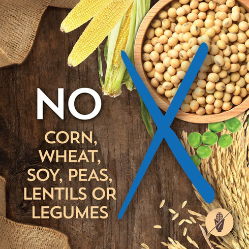 Wholesomes Sensitive Skin & Stomach Dry Dog Food - Salmon - 30lb Bag