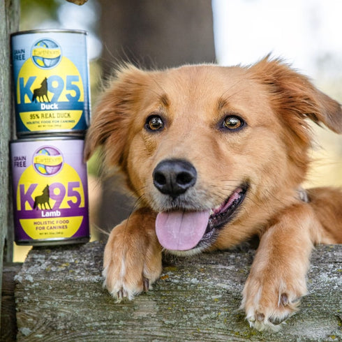 Earthborn Holistic K95 Wet Dog Food - Lamb - 13oz Can