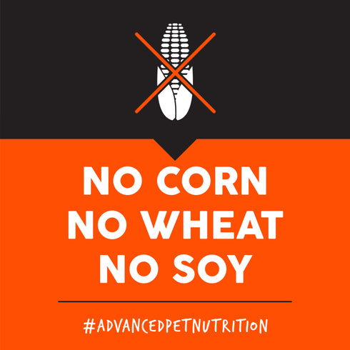 Ultimates Large Breed Dry Dog Food - Chicken & Rice - 28lb Bag